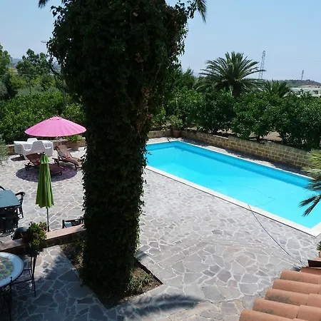 Poggio Delle Palme