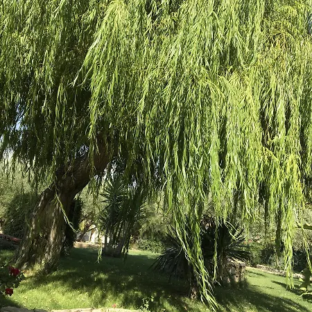 Poggio Delle Palme * Campobello di Licata