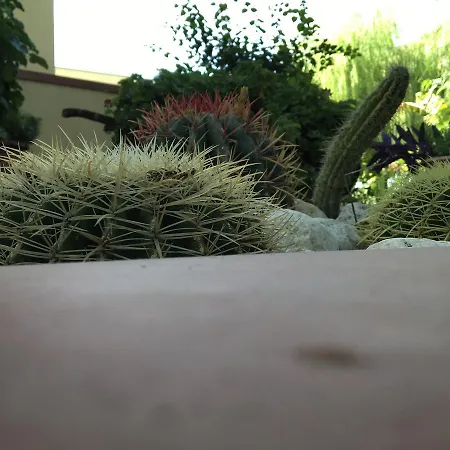 Poggio Delle Palme 別荘 *